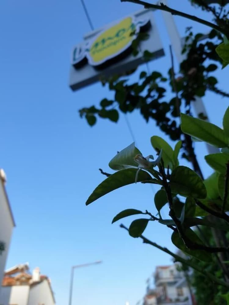 Limon Pansiyon 37/49