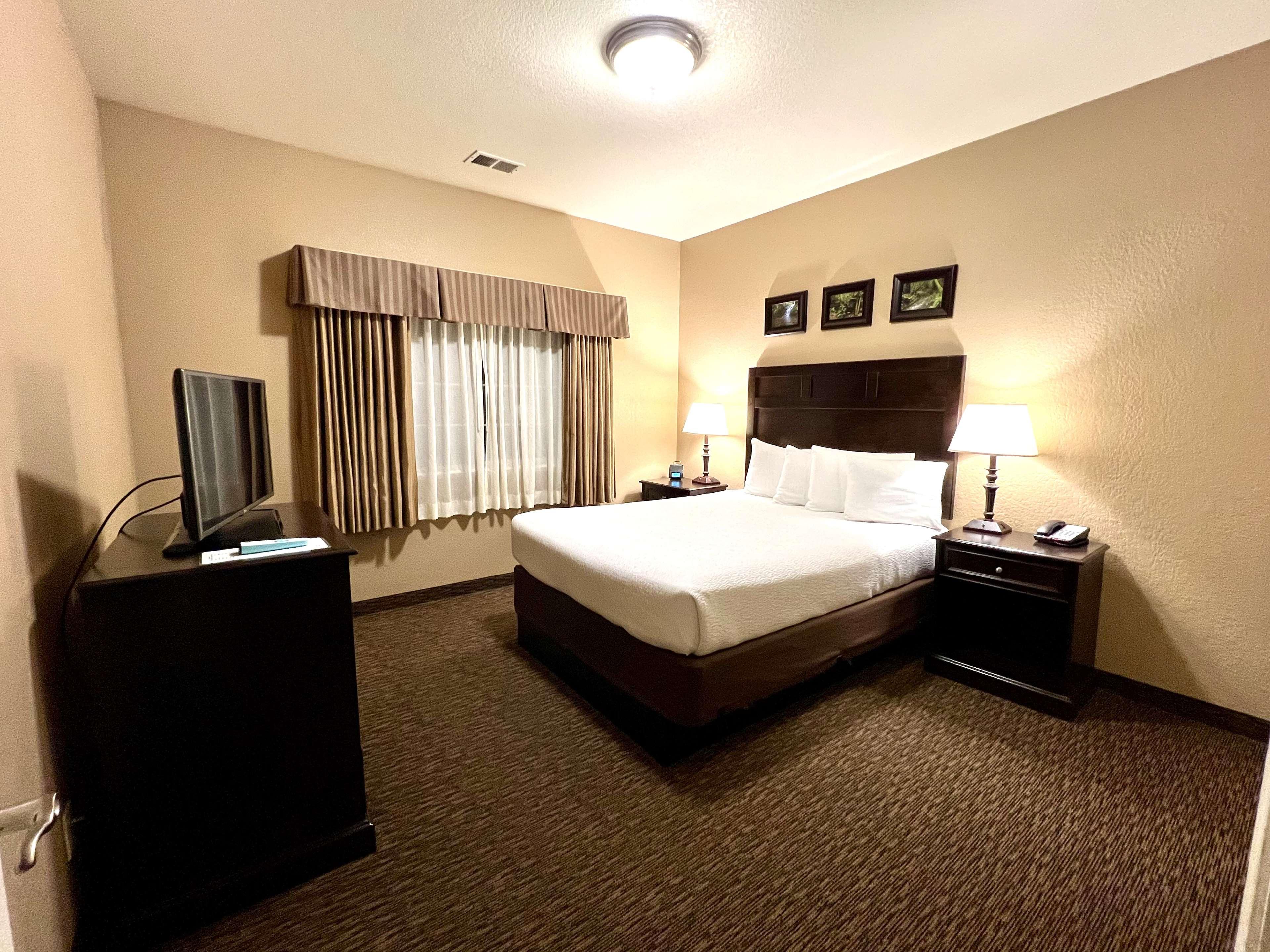 Suite, Queen Bed