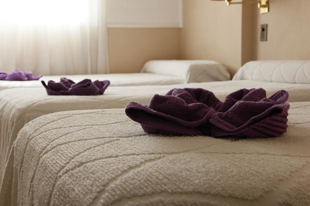 Hotel Bertaina 6/26