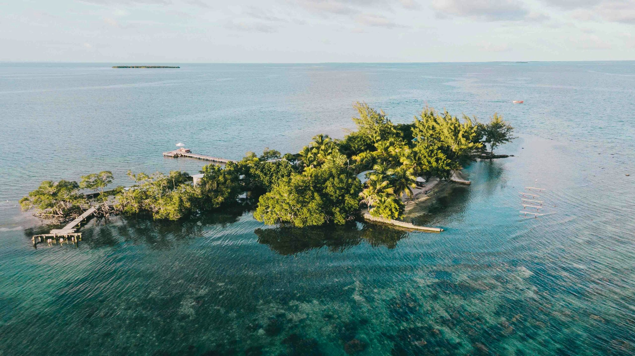 Coral Caye