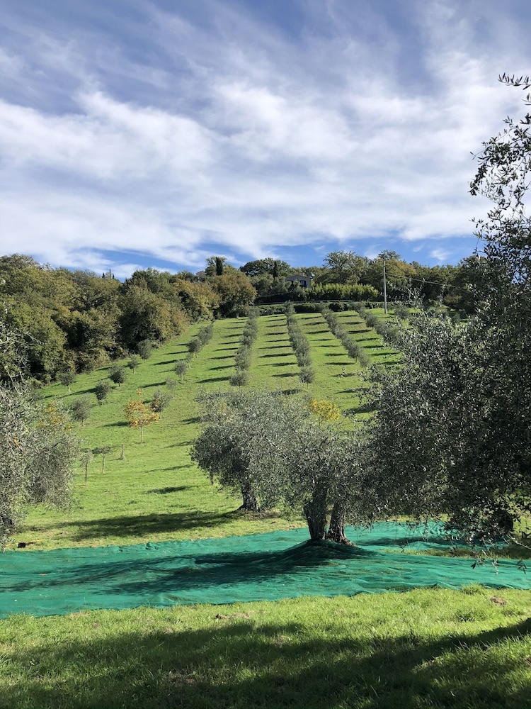 Agriturismo Poggio Del Drago 39/50