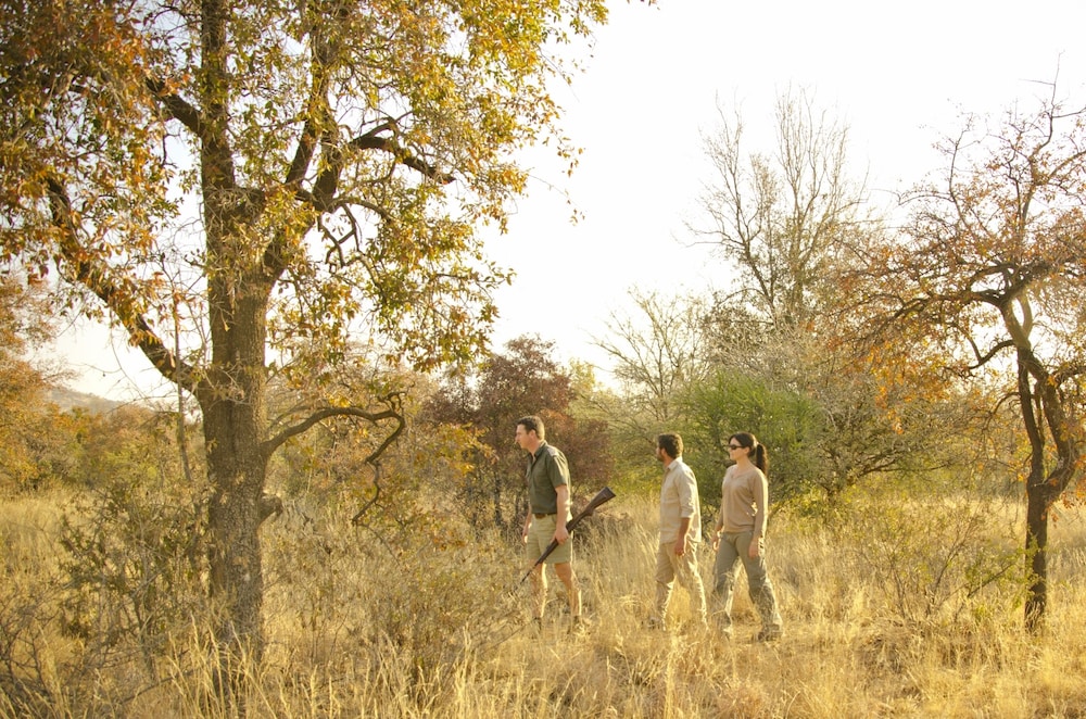 Morokolo Safari Lodge 23/82