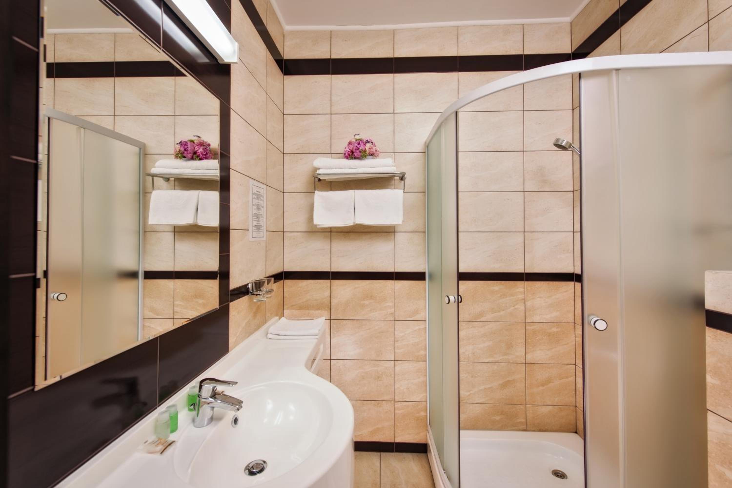 Business, Double Bed, Hotel Ozana 9/9