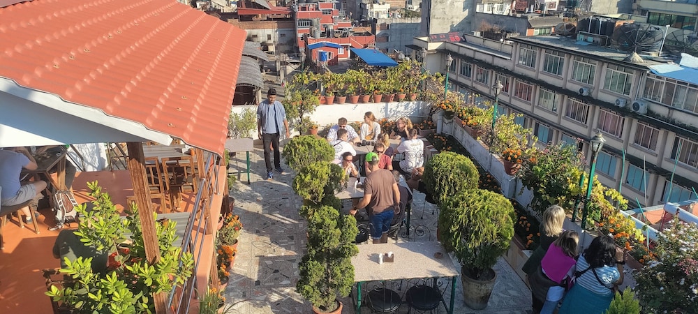 Hotel Nepalaya 6/73