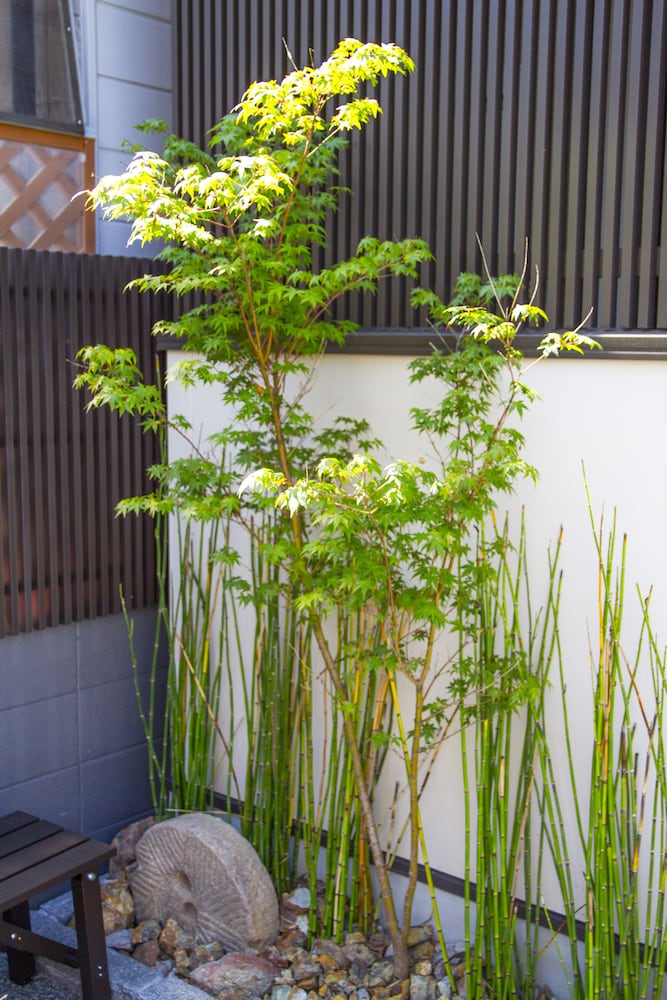 Japaning Kyoto 41/50