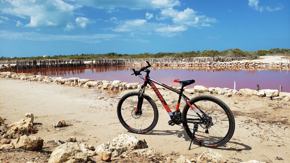 Reef Yucatan All Inclusive Hotel and Convention Center 43/50