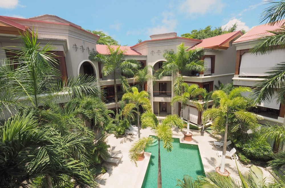 Macaws Ocean Club 39/50