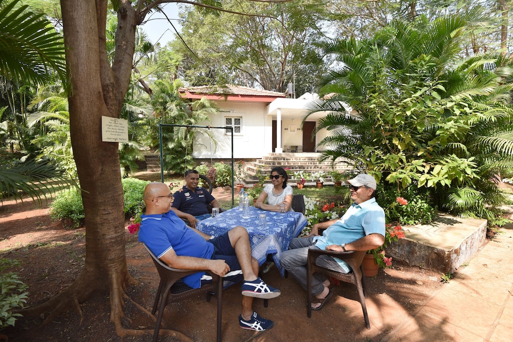 Modis Resort 39/46