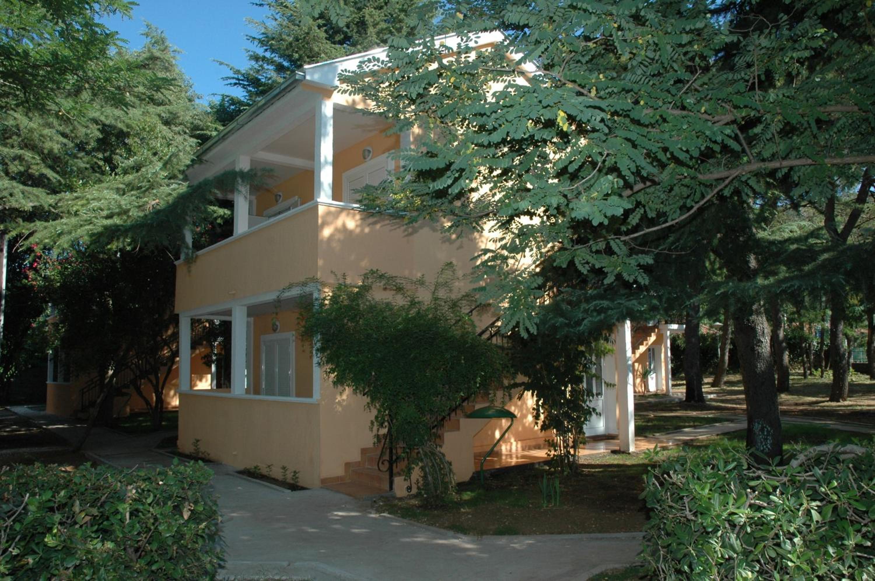 Kamelija 35/42