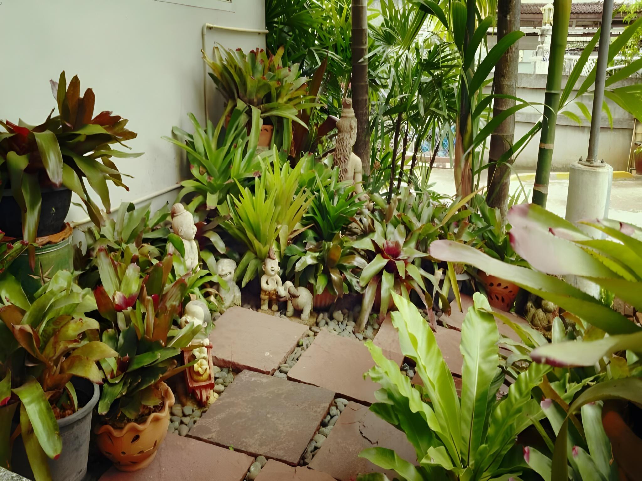 LOEI ORCHID 33/34