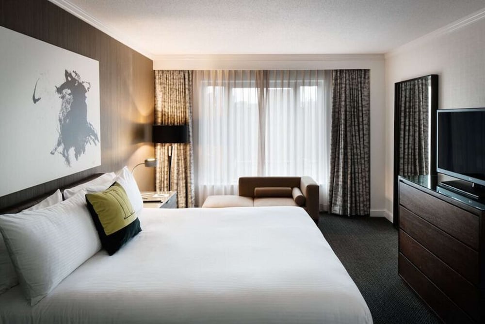 COMMONWEALTH, SUITE, KING BED