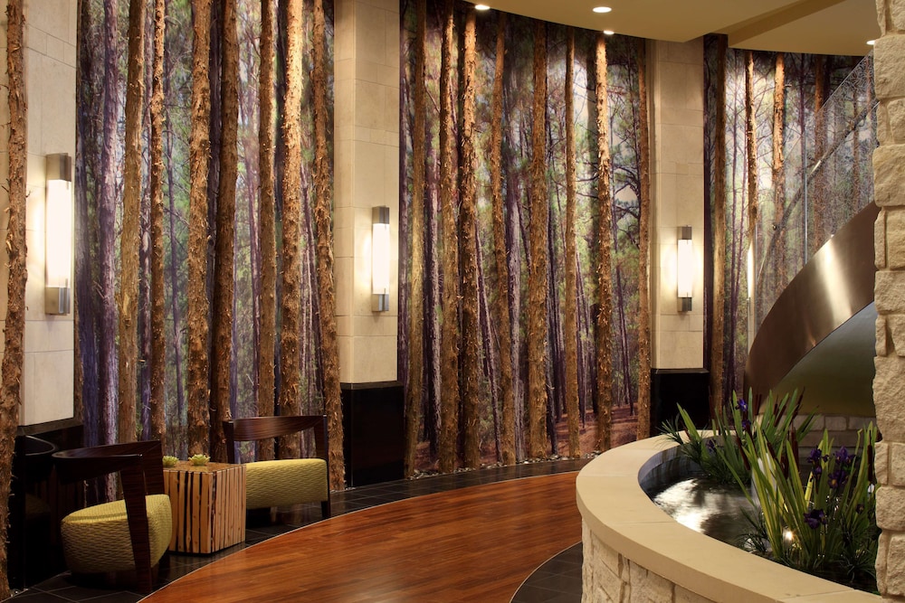 Hyatt Centric the Woodlands 27/63