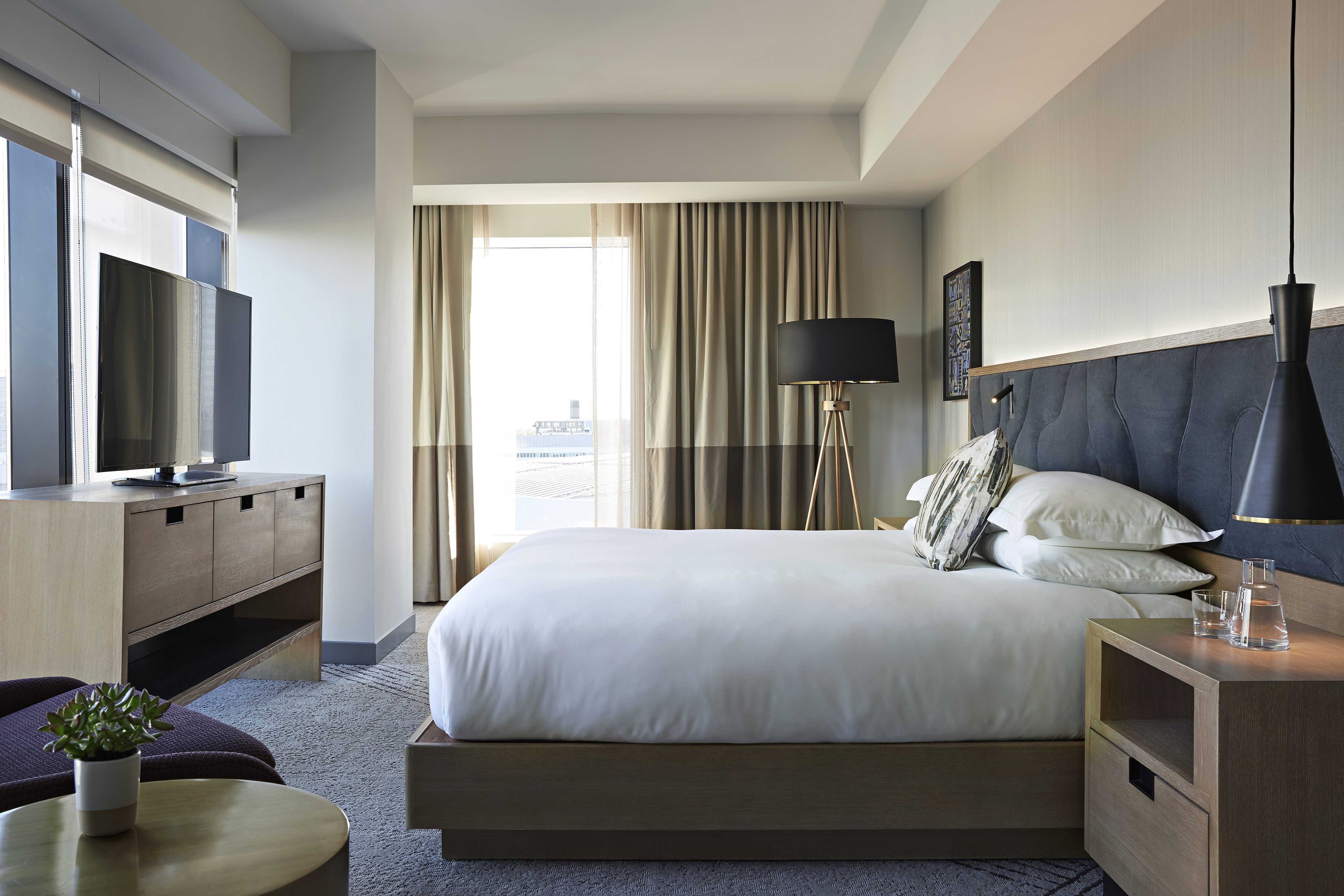 1 BEDROOM, SUITE