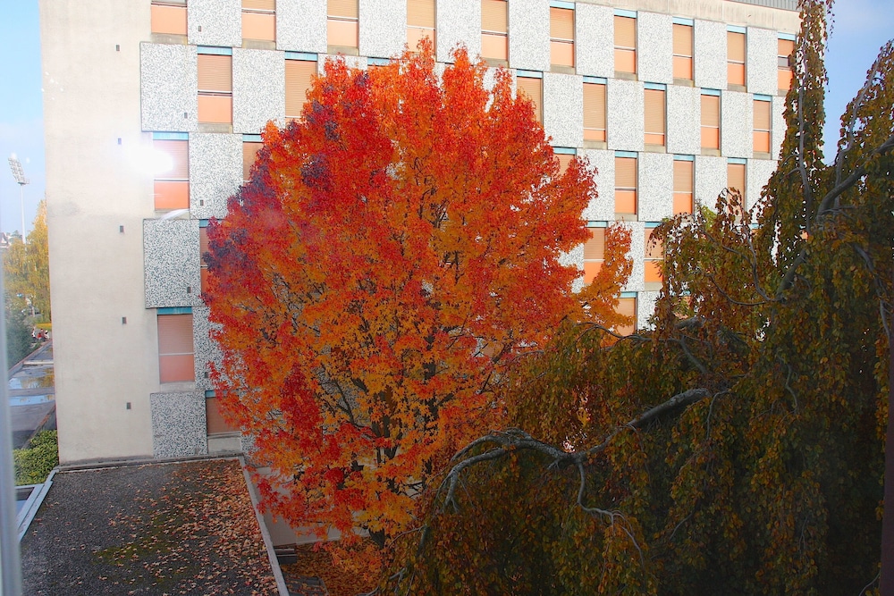 Ibis Budget Thonon Les Bains 48/52