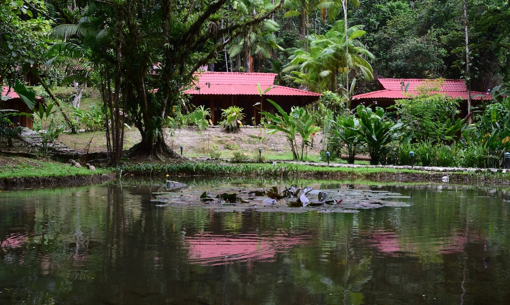 Esquinas Rainforest Lodge 20/46