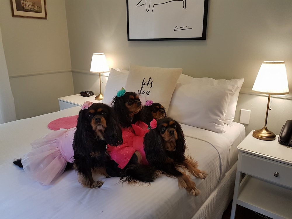 The Hughenden Boutique Hotel 45/76