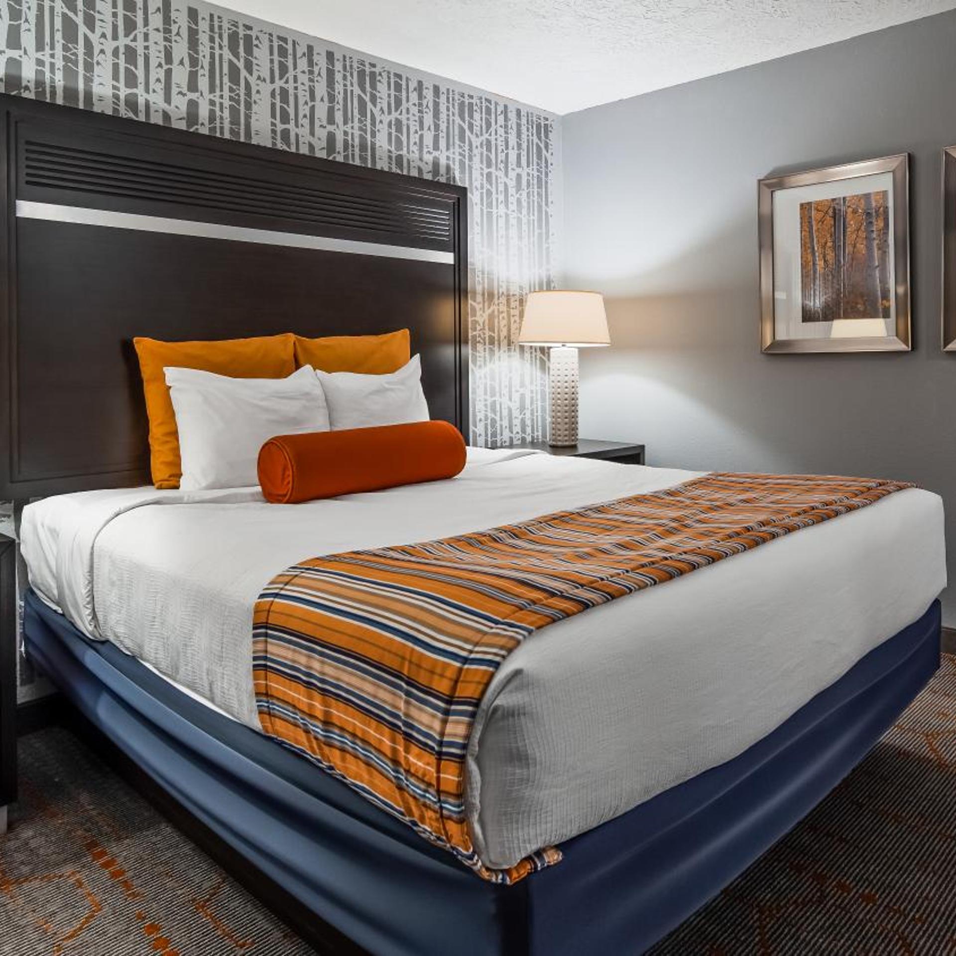 Suite, King Bed, Pet Friendly