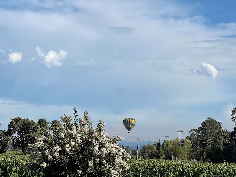The Setting Inn Napa Valley 43/50