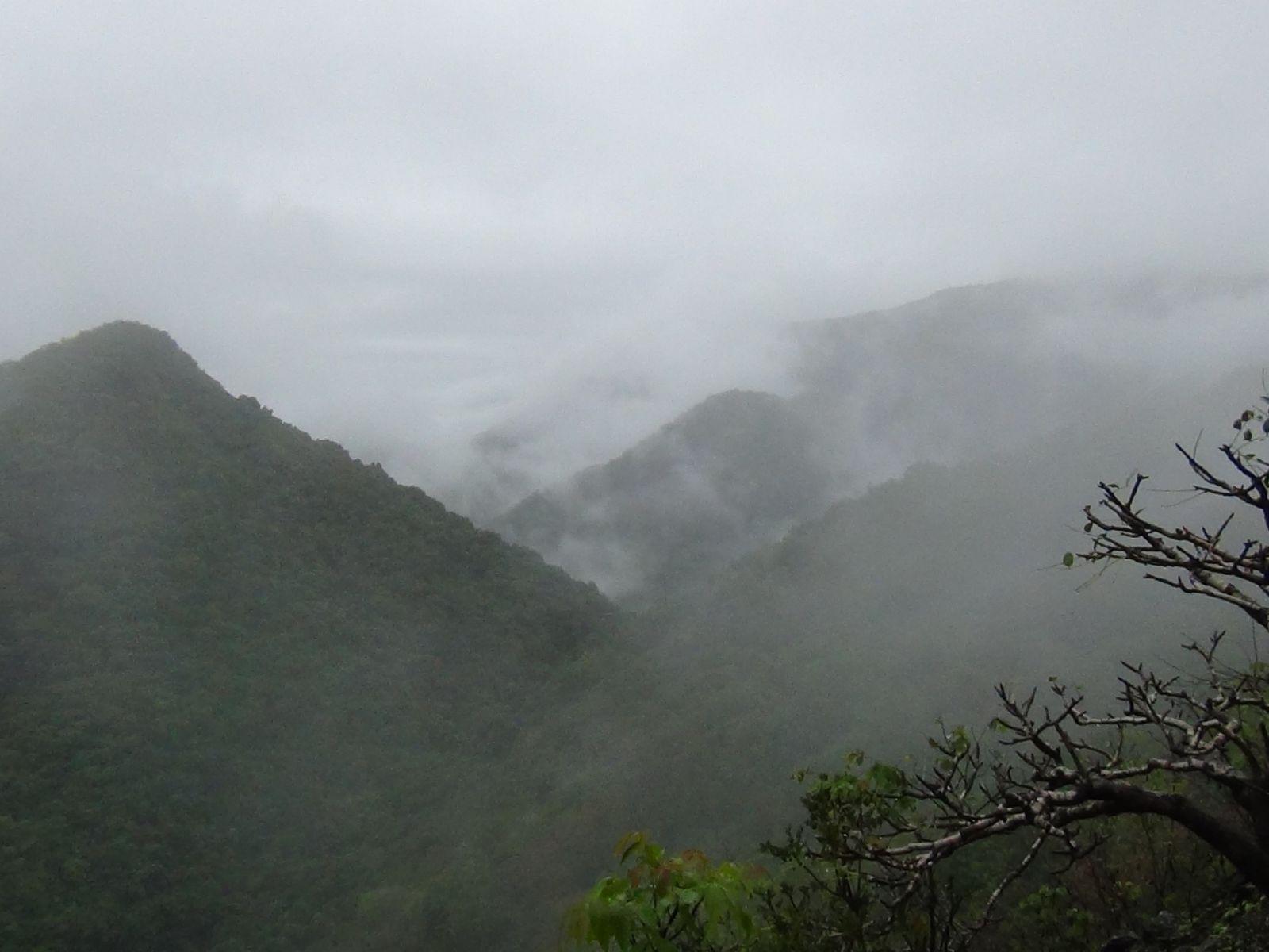 WILDERNEST NATURE RESORT 23/24