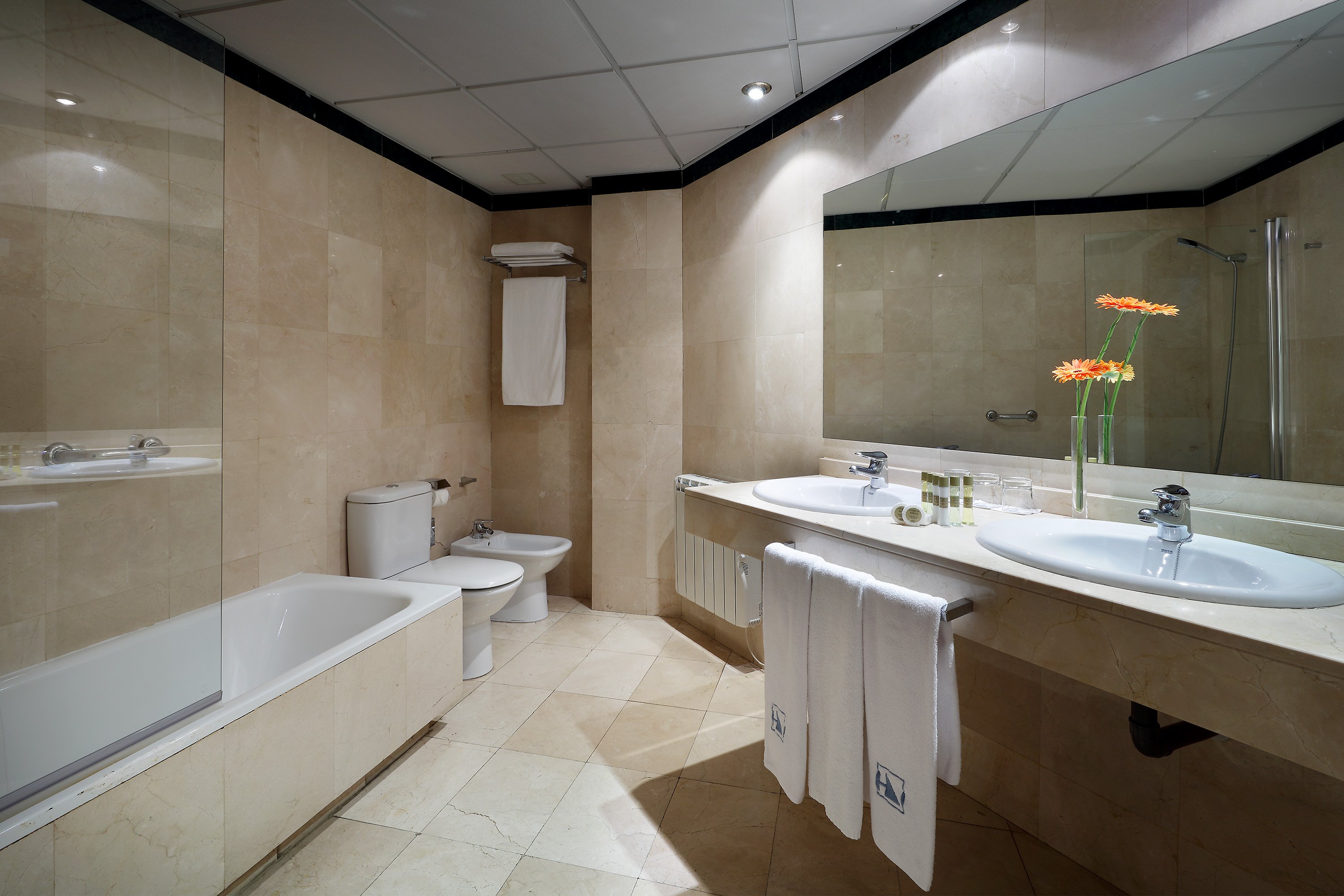 Eurostars Plaza Acueducto 57/59