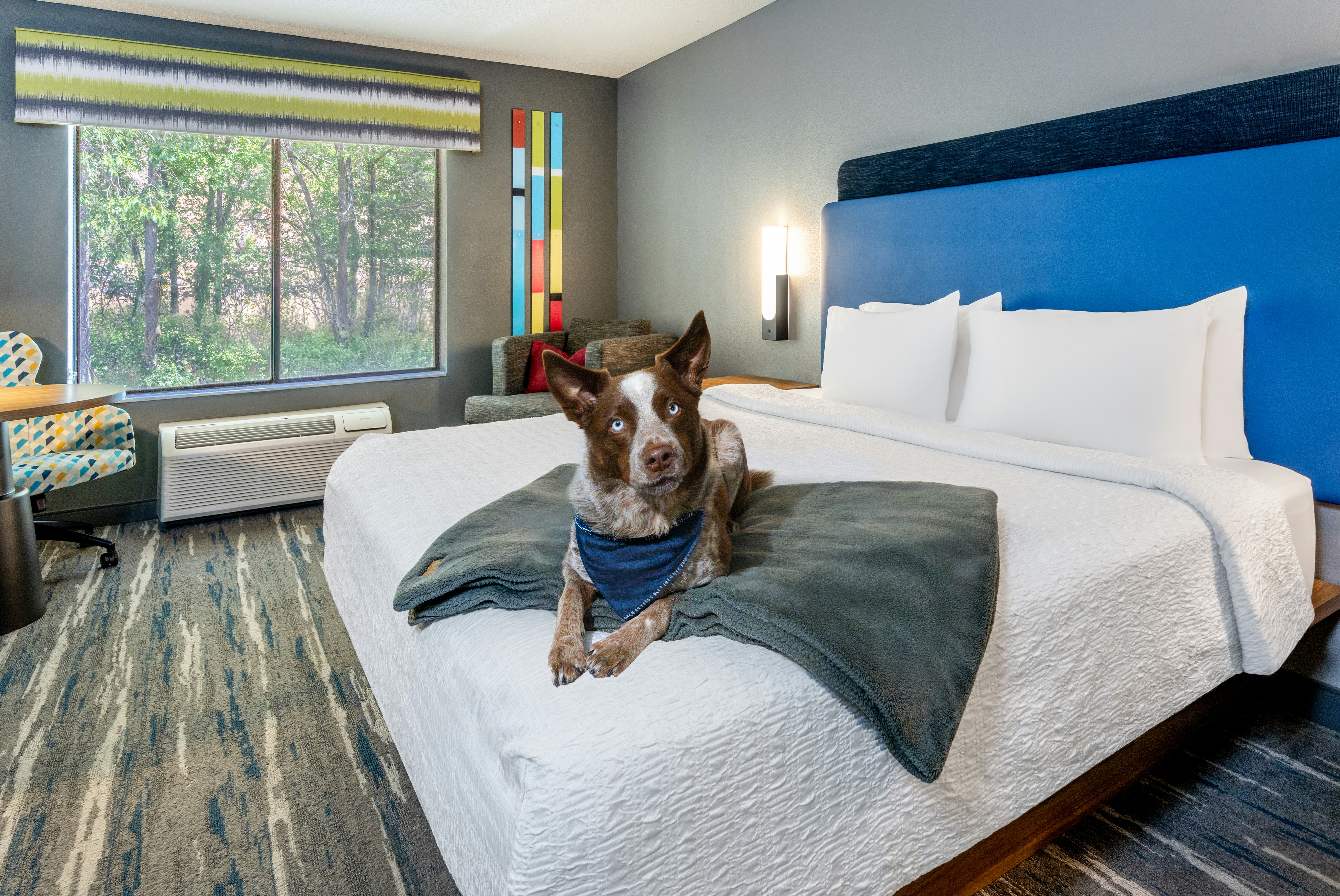 Hampton Inn Glenwood Springs 14/71