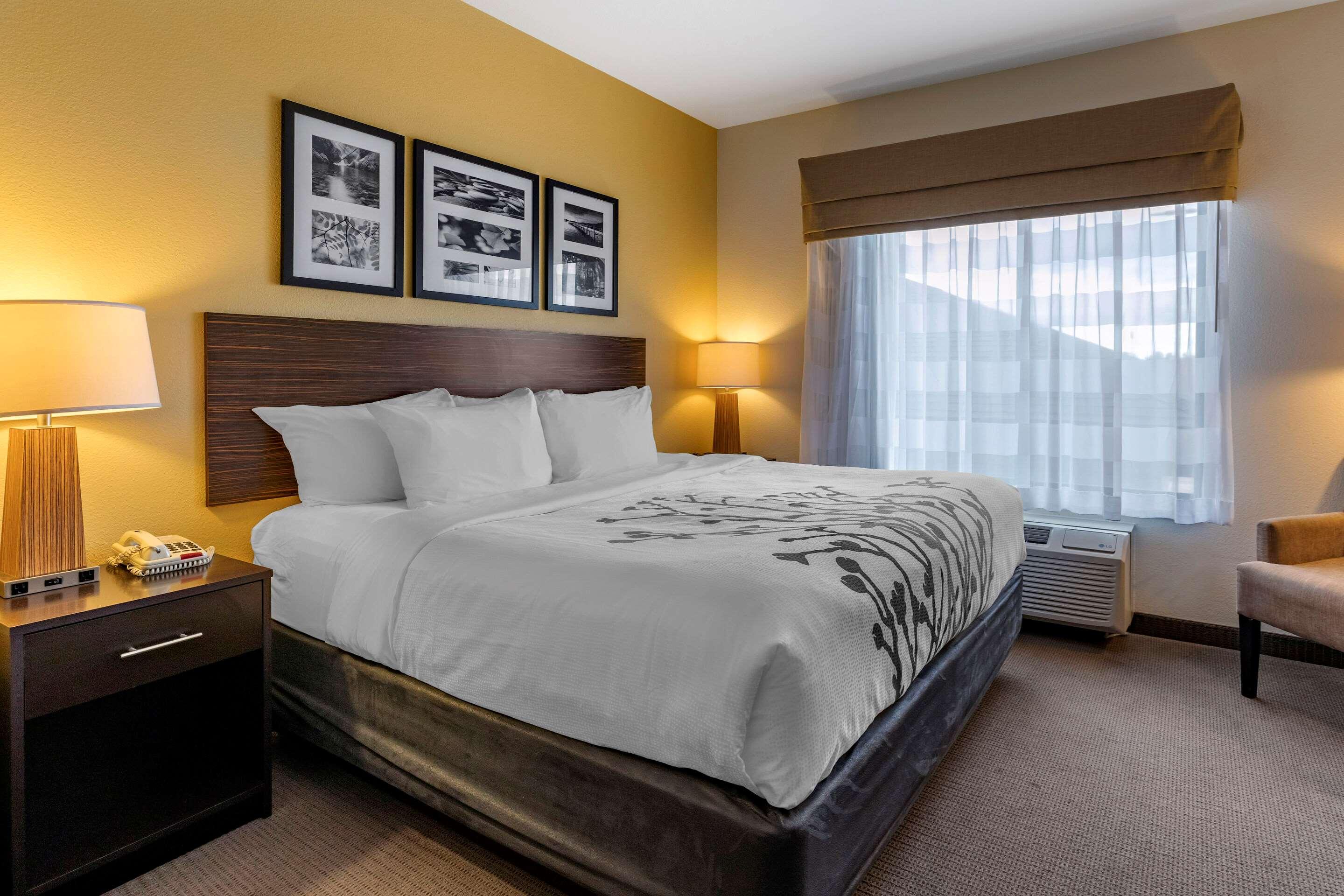Efficiency, Suite, King Bed، Sleep Inn & Suites Miles City I-94 2/5
