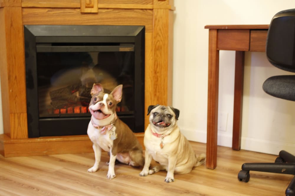 Fairbanks Extended Stay 4/50