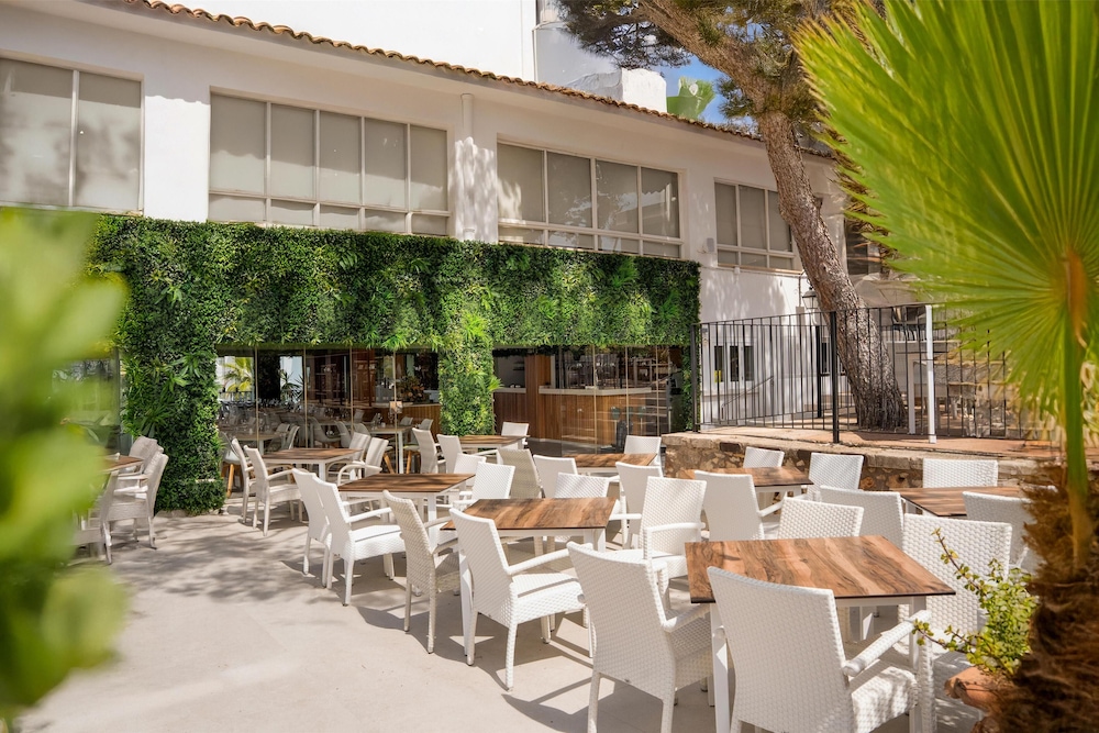 Marsenses Natura Olea Hotel 46/62