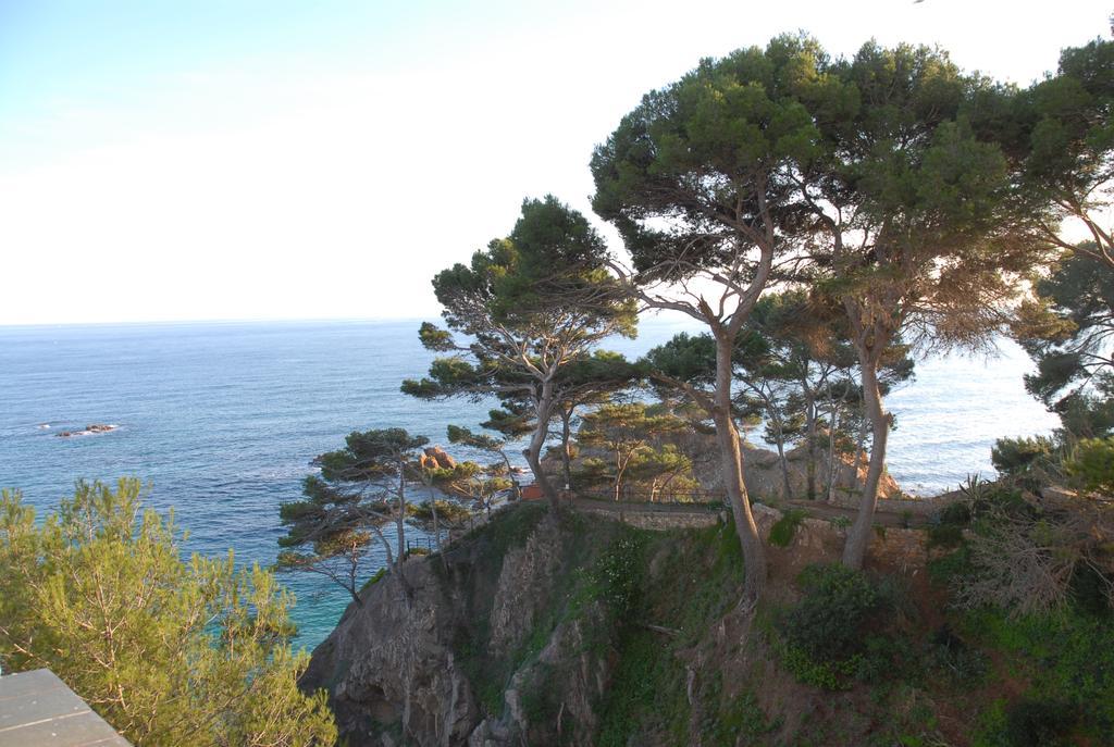 Hotel Cap Roig by Brava Hoteles 41/50