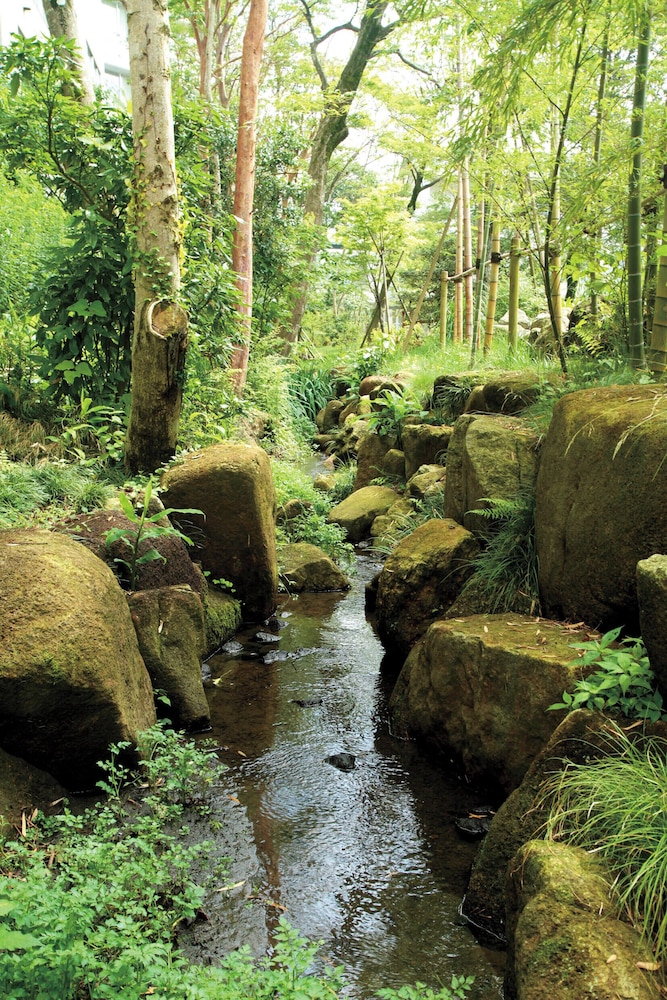 Mars Garden Wood Gotemba 25/50