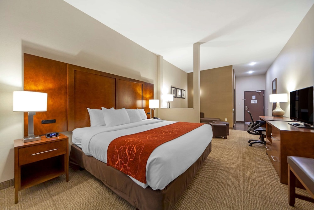 Comfort Suites La Vista - Omaha 14/44