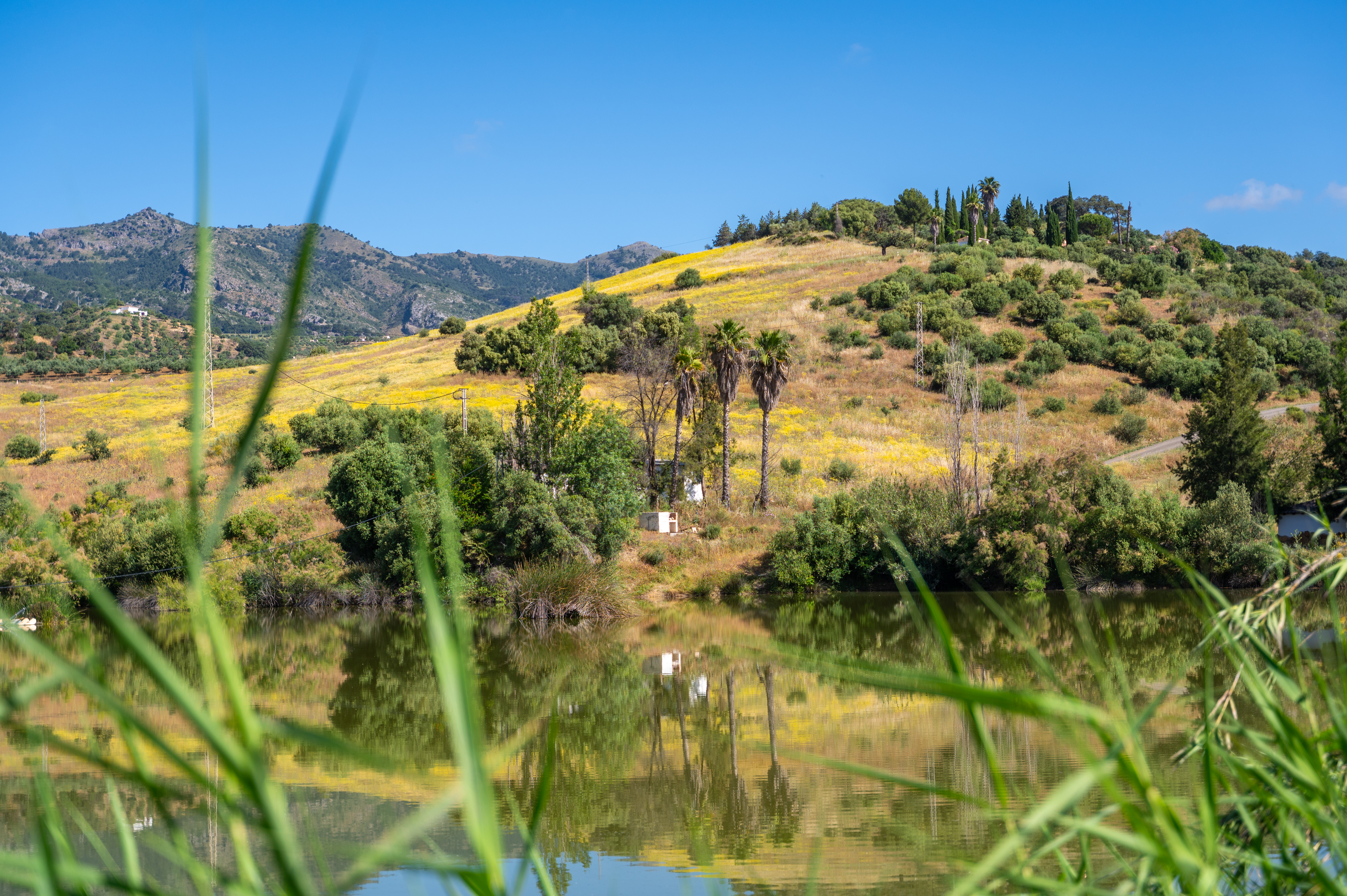 Malaga Sierra de las Nieves by Real Spain hotels 45/50