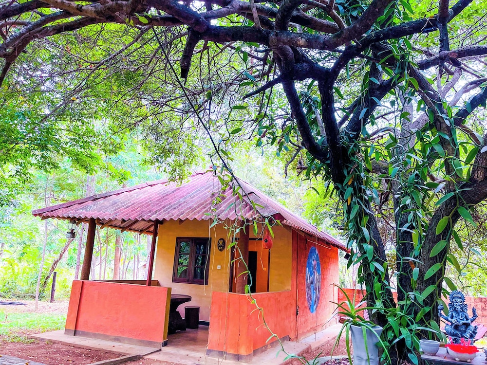 Niyagala Lodge 6/50