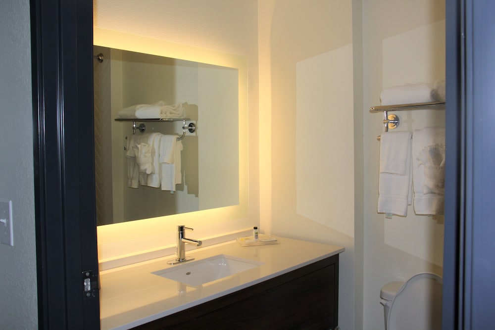 Holiday Inn Southaven Central Memphis 66/66