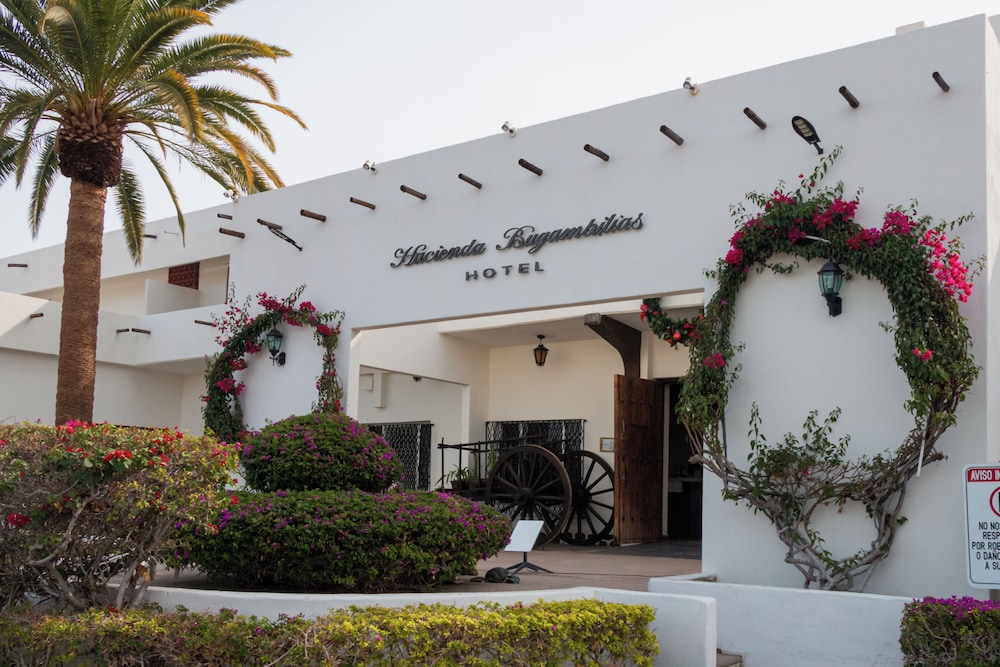 Hacienda Bugambilias 10/71