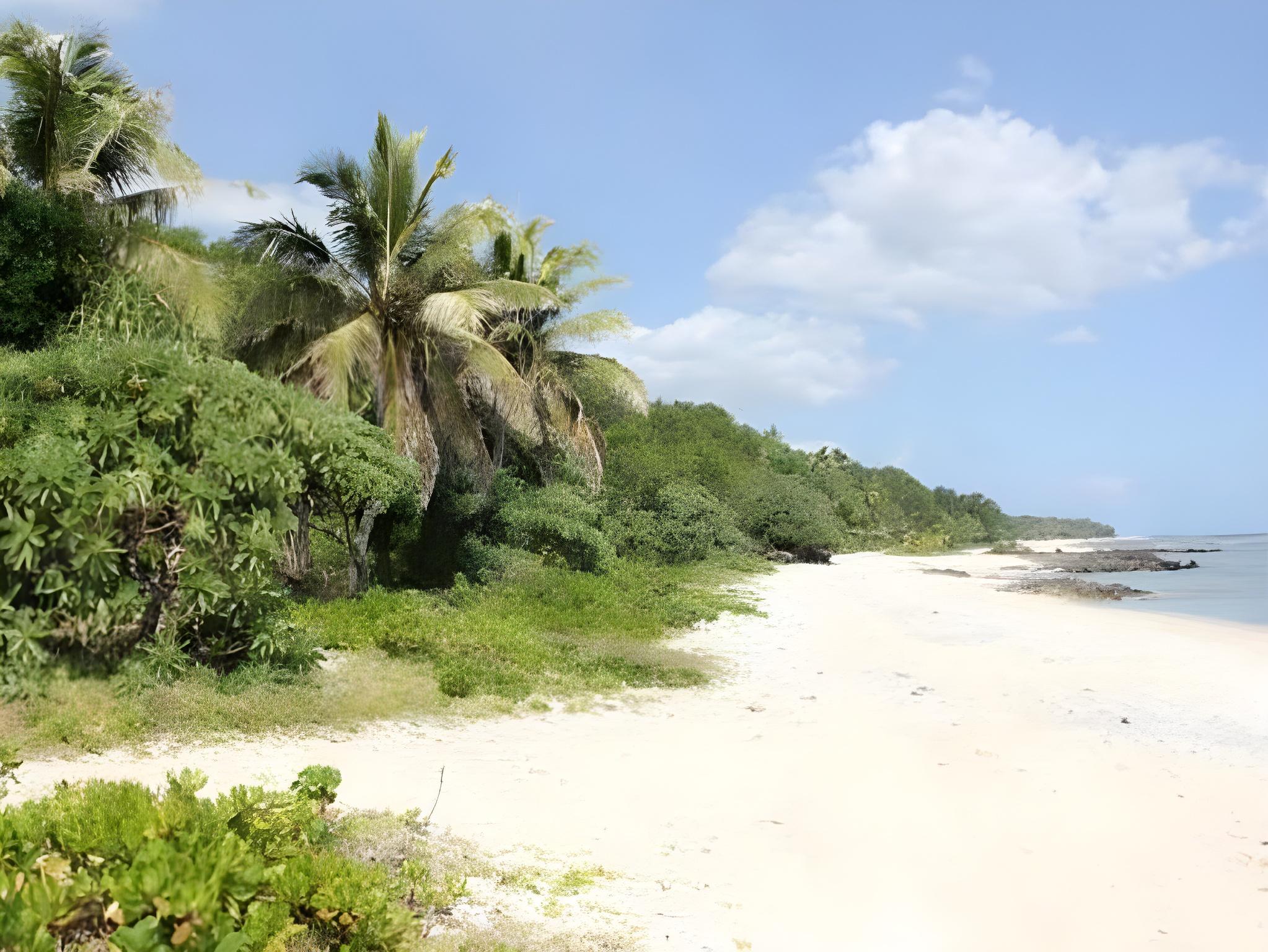 Alofa Beach Bungalows 9/22