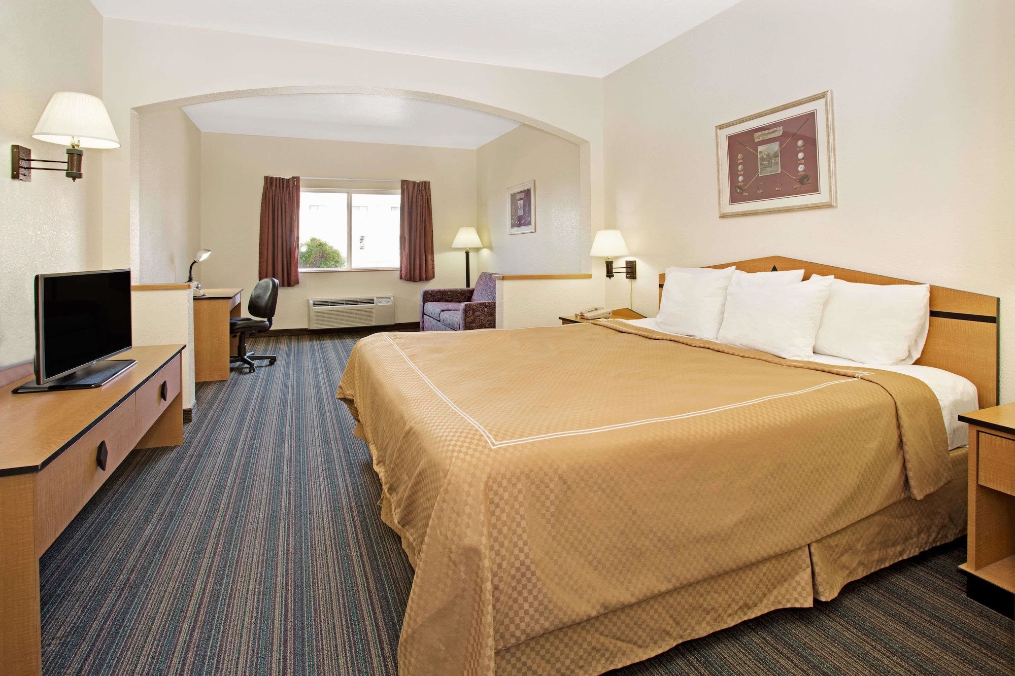 Studio, Suite, King Bed