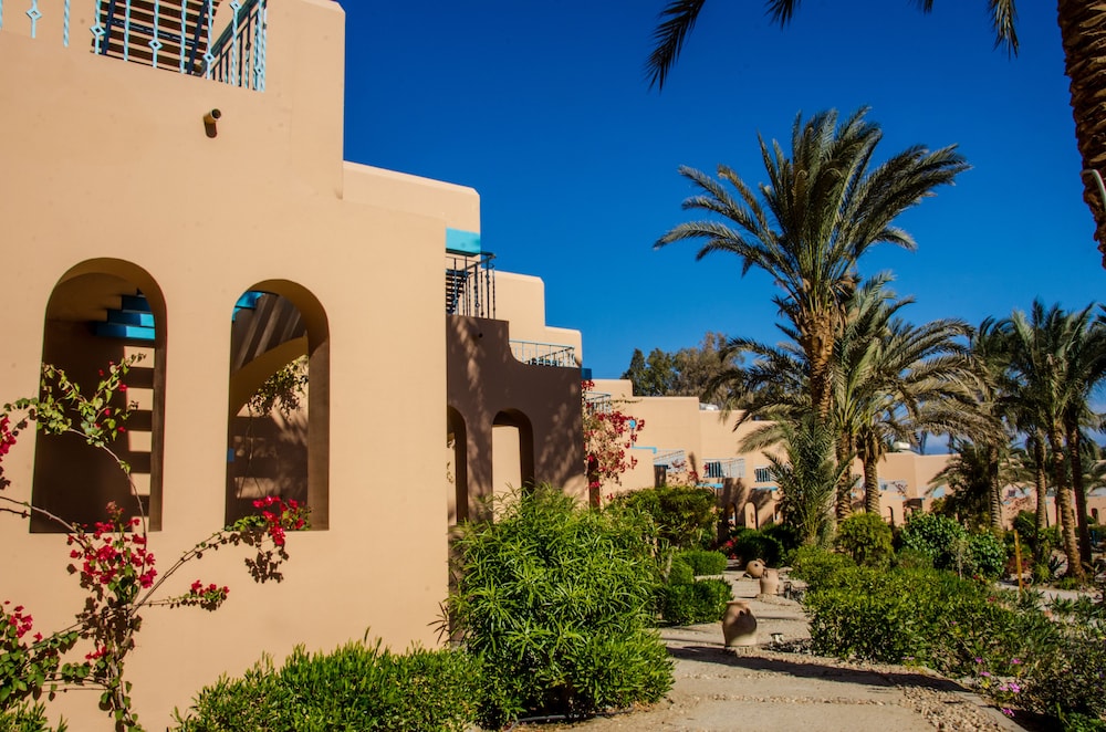 Club Paradisio El Gouna Red Sea 3/50