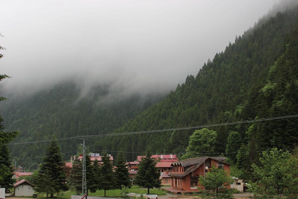 Selale Otel Ve Bungalow 36/50