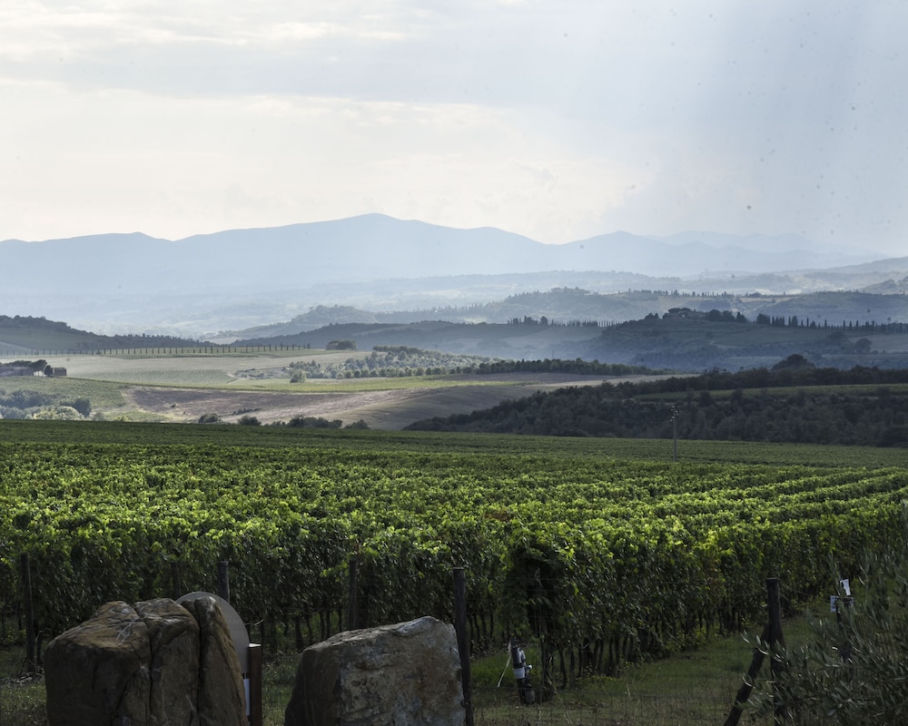 Podere Brizio - Adults Only 44/55