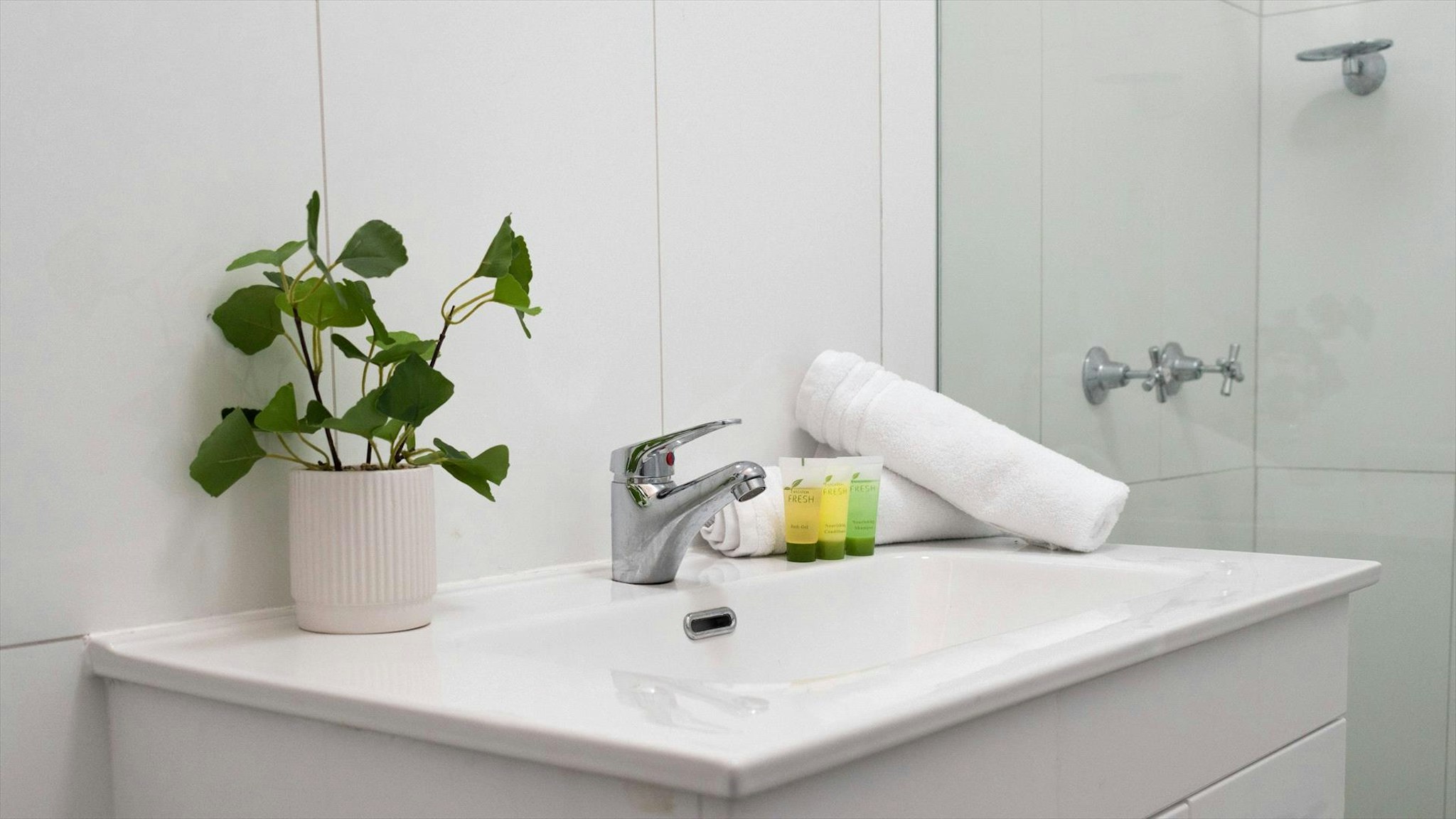 Palm Court Budget Motel Backpackers 42/43