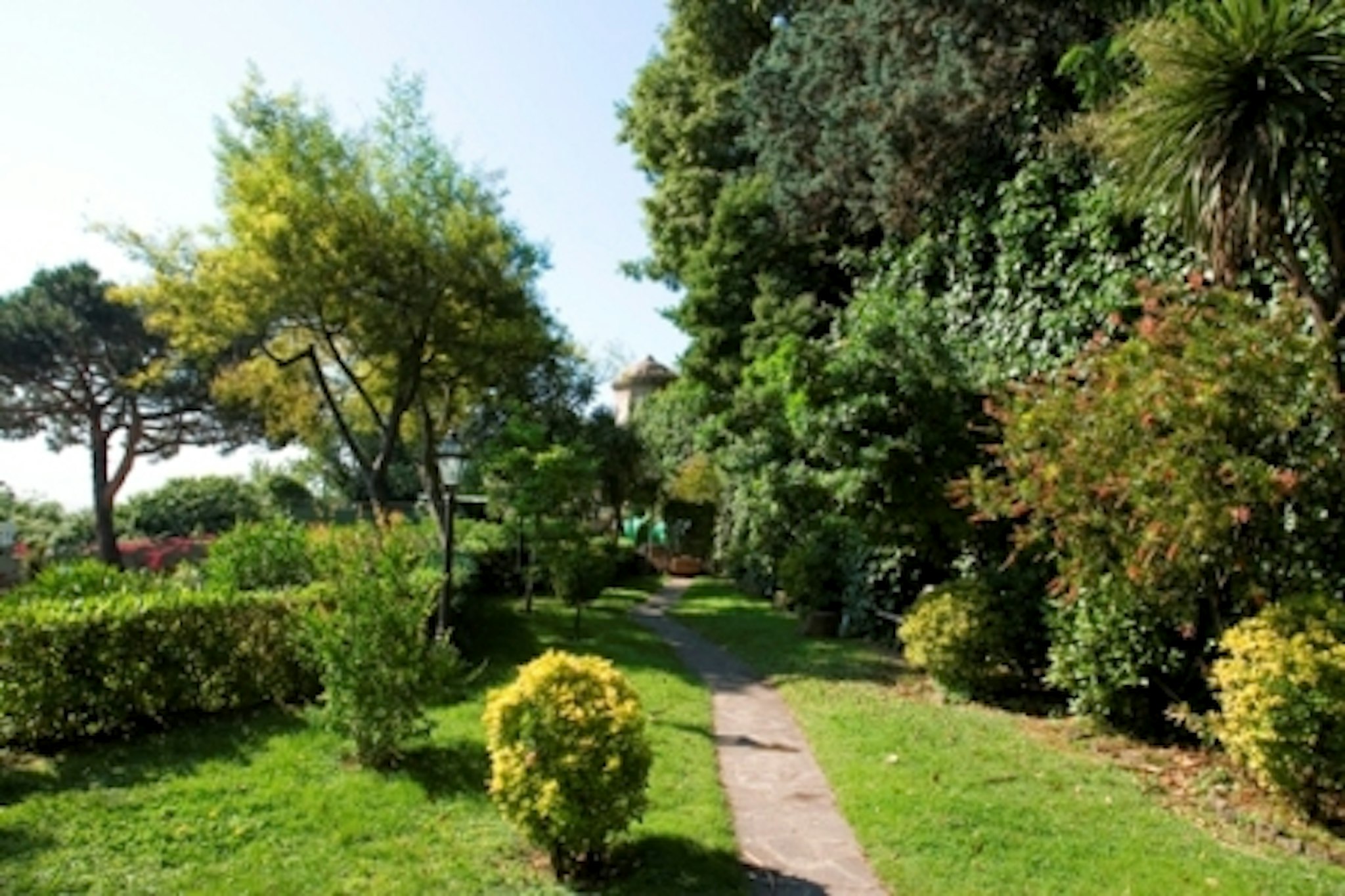 Surroundings