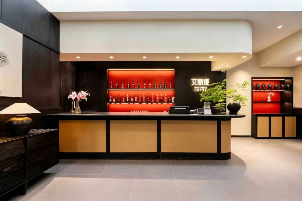 Beijing Aaliyah Wang Fu Jing Forbodden City Boutique Hotel 8/50