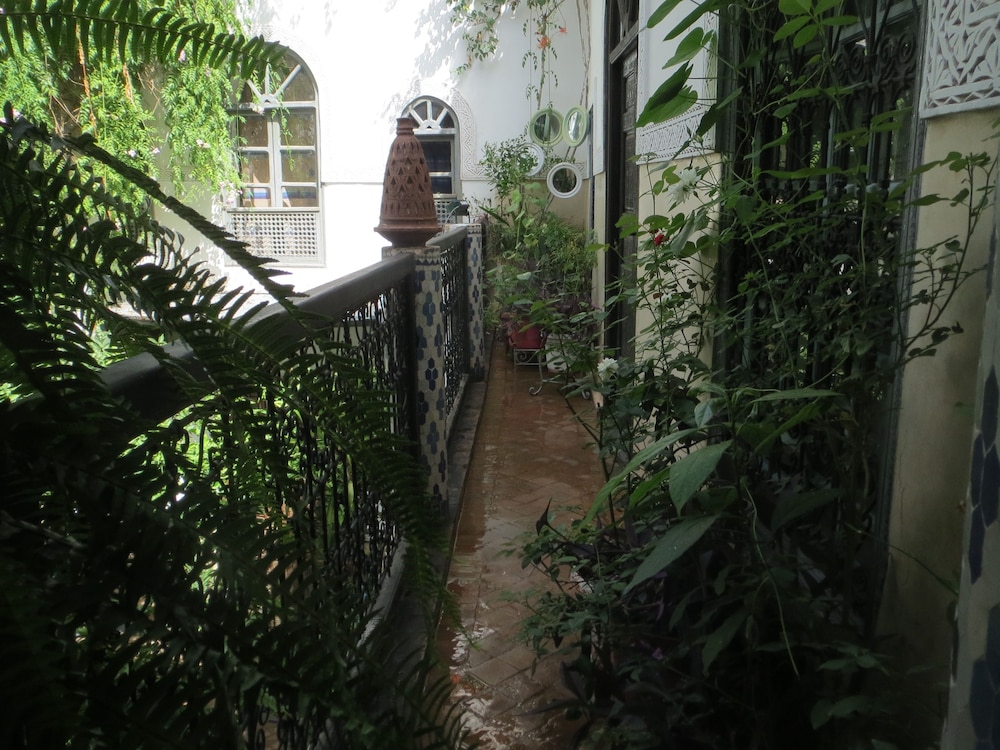Riad Maizie 43/50