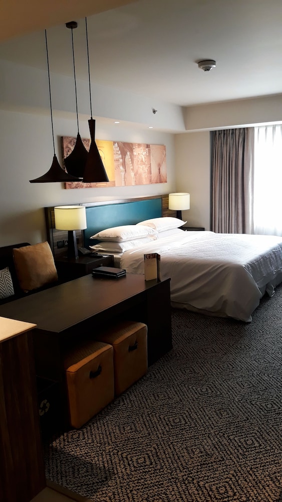 Sheraton Hyderabad Hotel 31/71