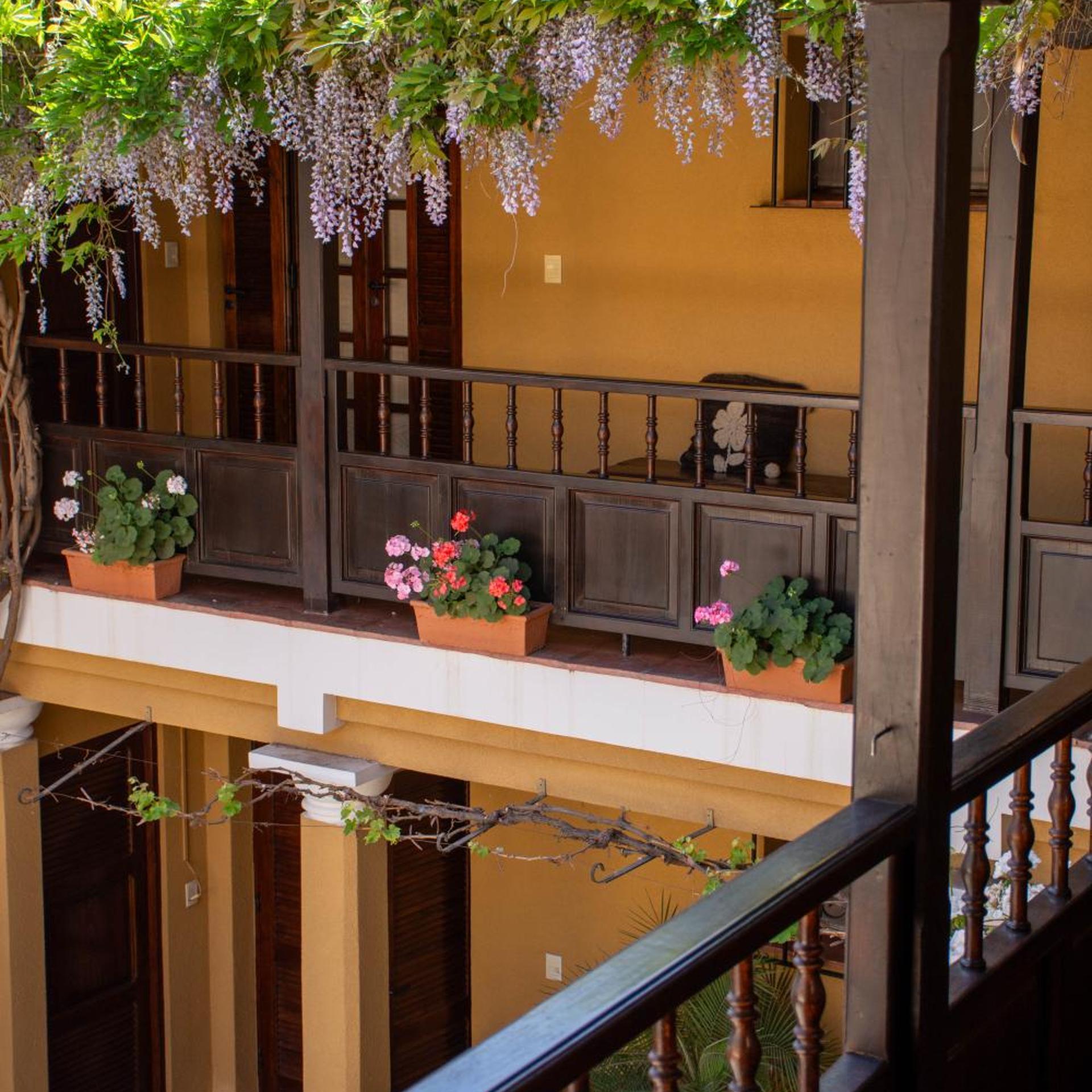 Villa Vicuña Wine and Boutique Hotel 4/51