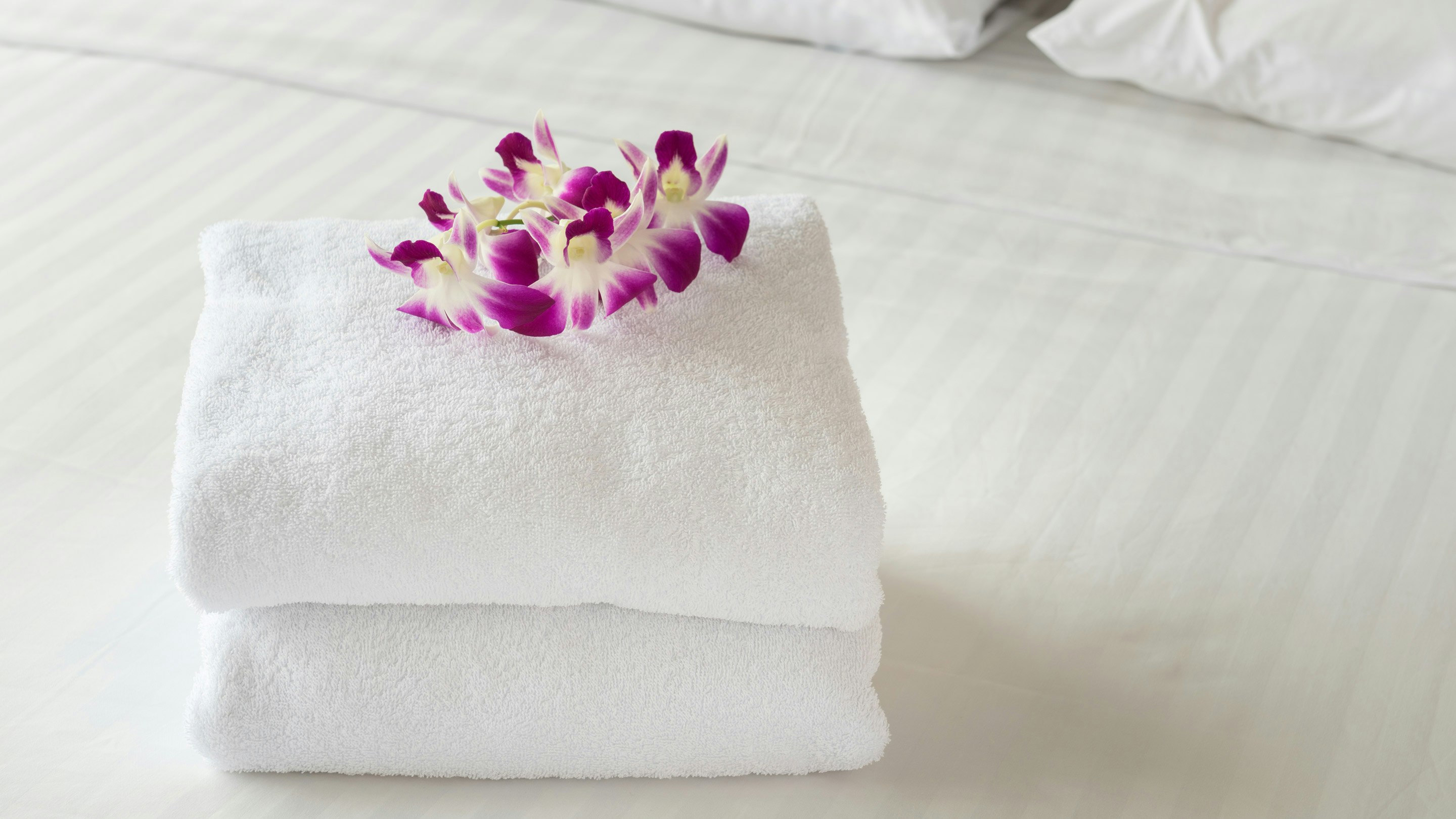 Relax Inn Bloomsburg 22/33