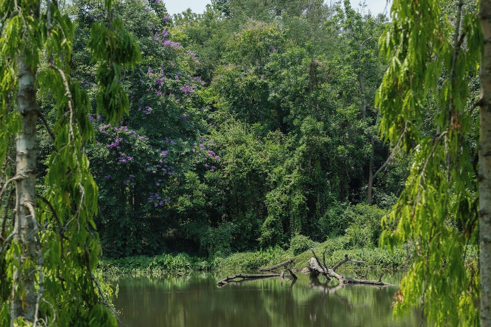 Sappraiwan Elephant Resort & Sanctuary 41/50