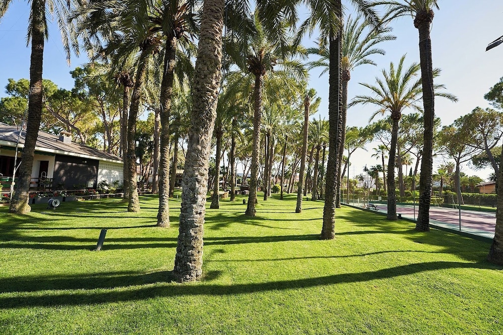 Resort Oasis 45/50