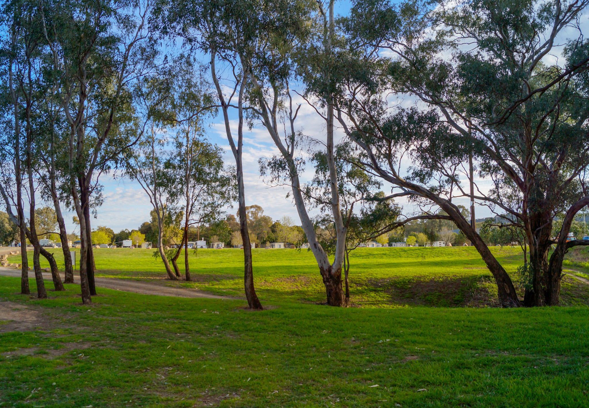 BIG4 Ingenia Holidays Wagga Wagga 15/20